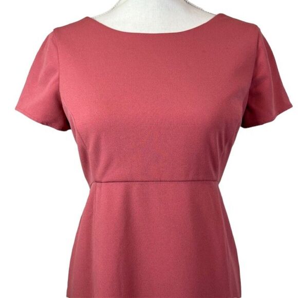 Paper Crown Rose Maternity Sheath Dress Back Zip Ruffle Hem Size Medium - Picture 3 of 15
